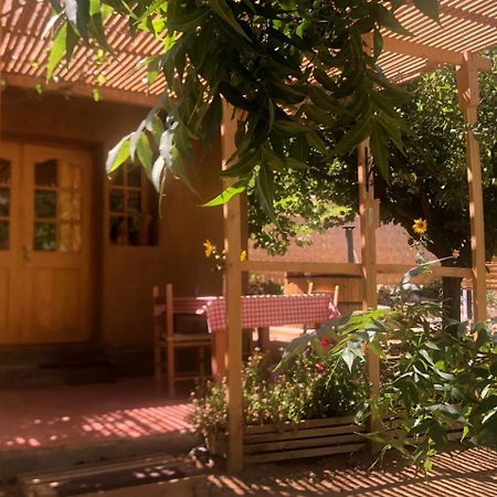 Puma Cottage Horcón المظهر الخارجي الصورة
