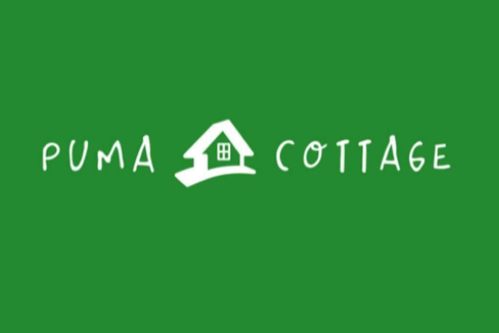 Puma Cottage Horcón المظهر الخارجي الصورة