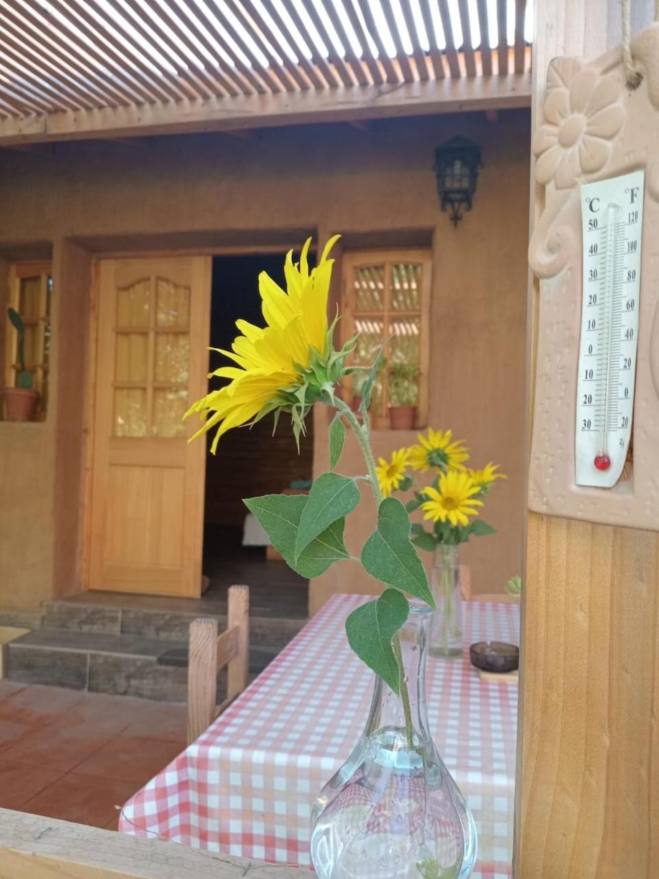 Puma Cottage Horcón المظهر الخارجي الصورة