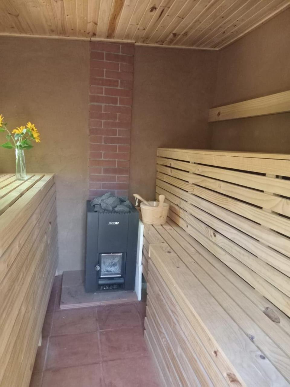 Puma Cottage Horcón المظهر الخارجي الصورة