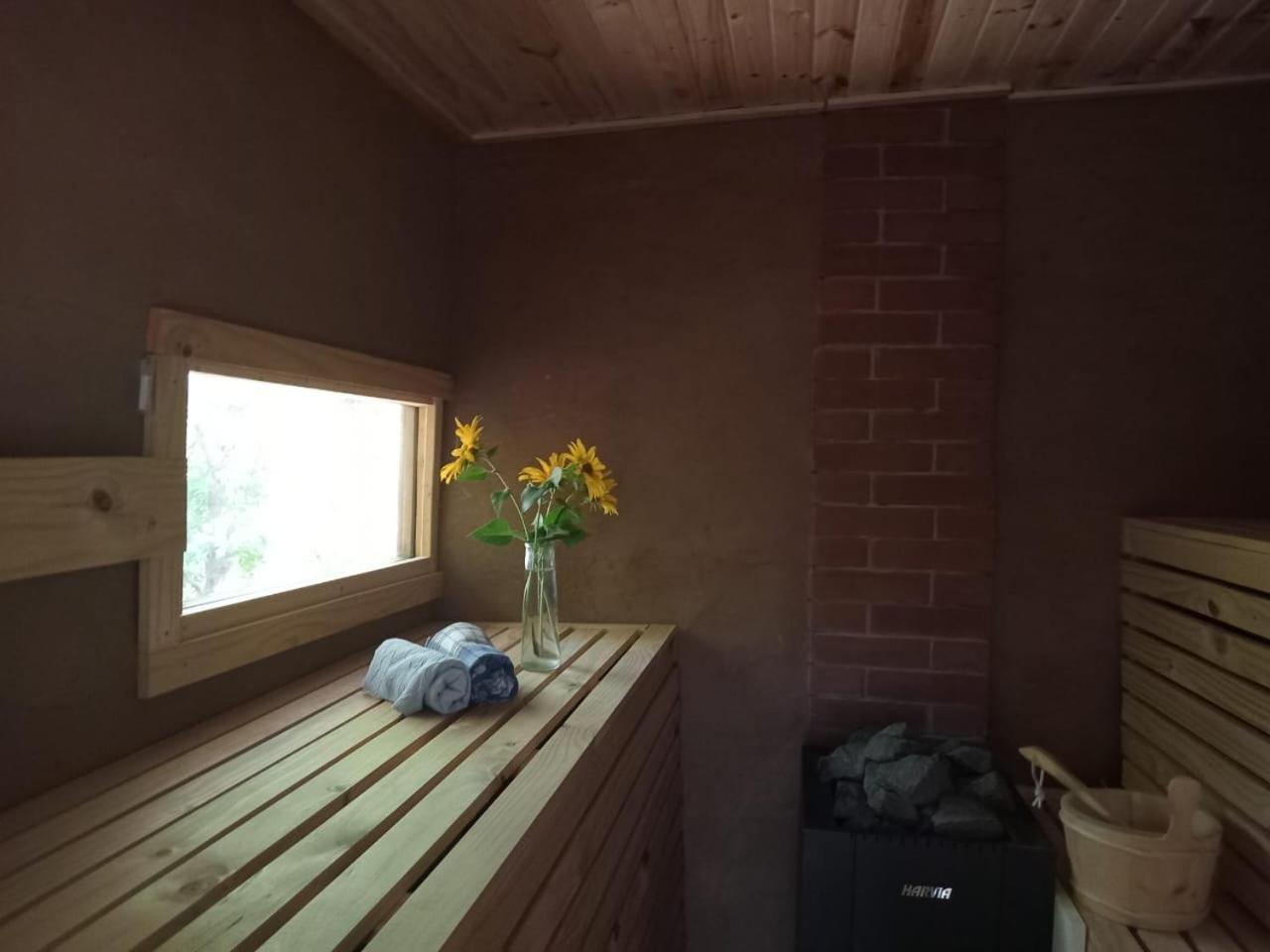 Puma Cottage Horcón المظهر الخارجي الصورة